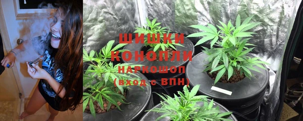 прущие крисы Фёдоровский