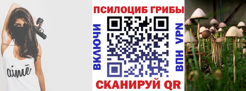 Псилоцибиновые грибы MAGIC MUSHROOMS  как найти закладки  Первоуральск 