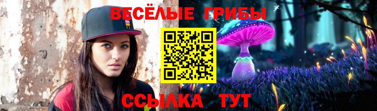 Псилоцибиновые грибы GOLDEN TEACHER  купить наркотик  Первоуральск  Вход с VPN 